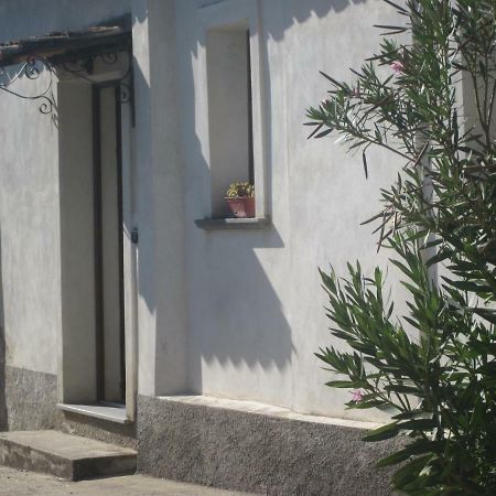 B&B Vaiana Maida Habitación foto